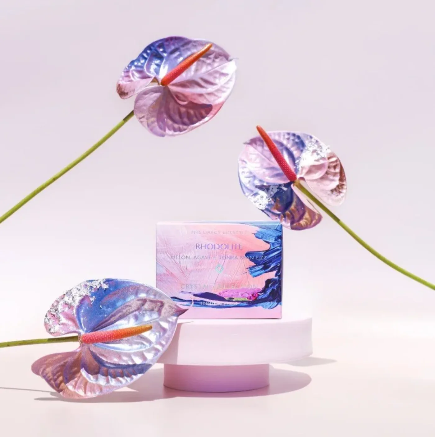 Nadia Azariyeva collaboration with Mrs Darcy