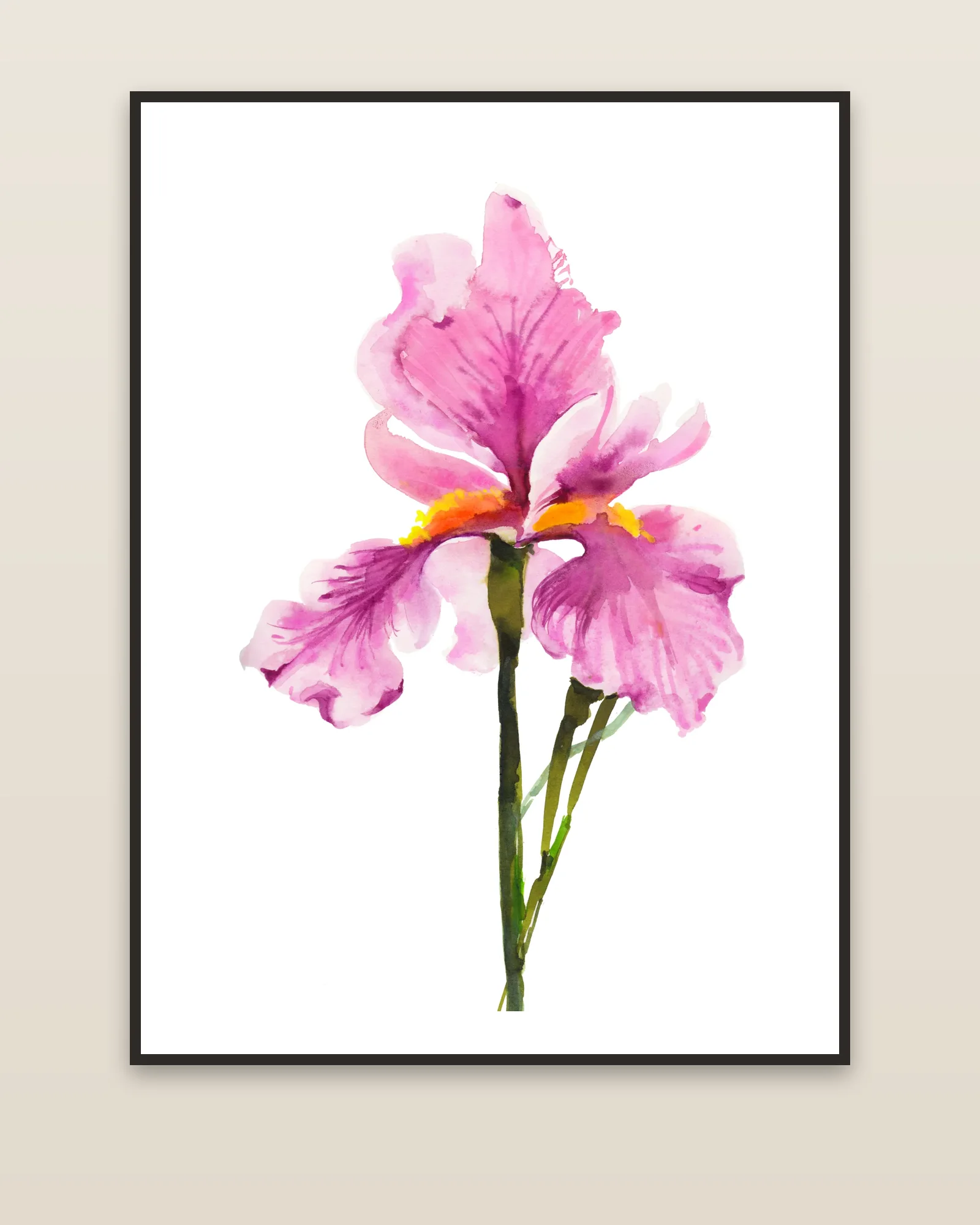 Pink Iris framed on a wall