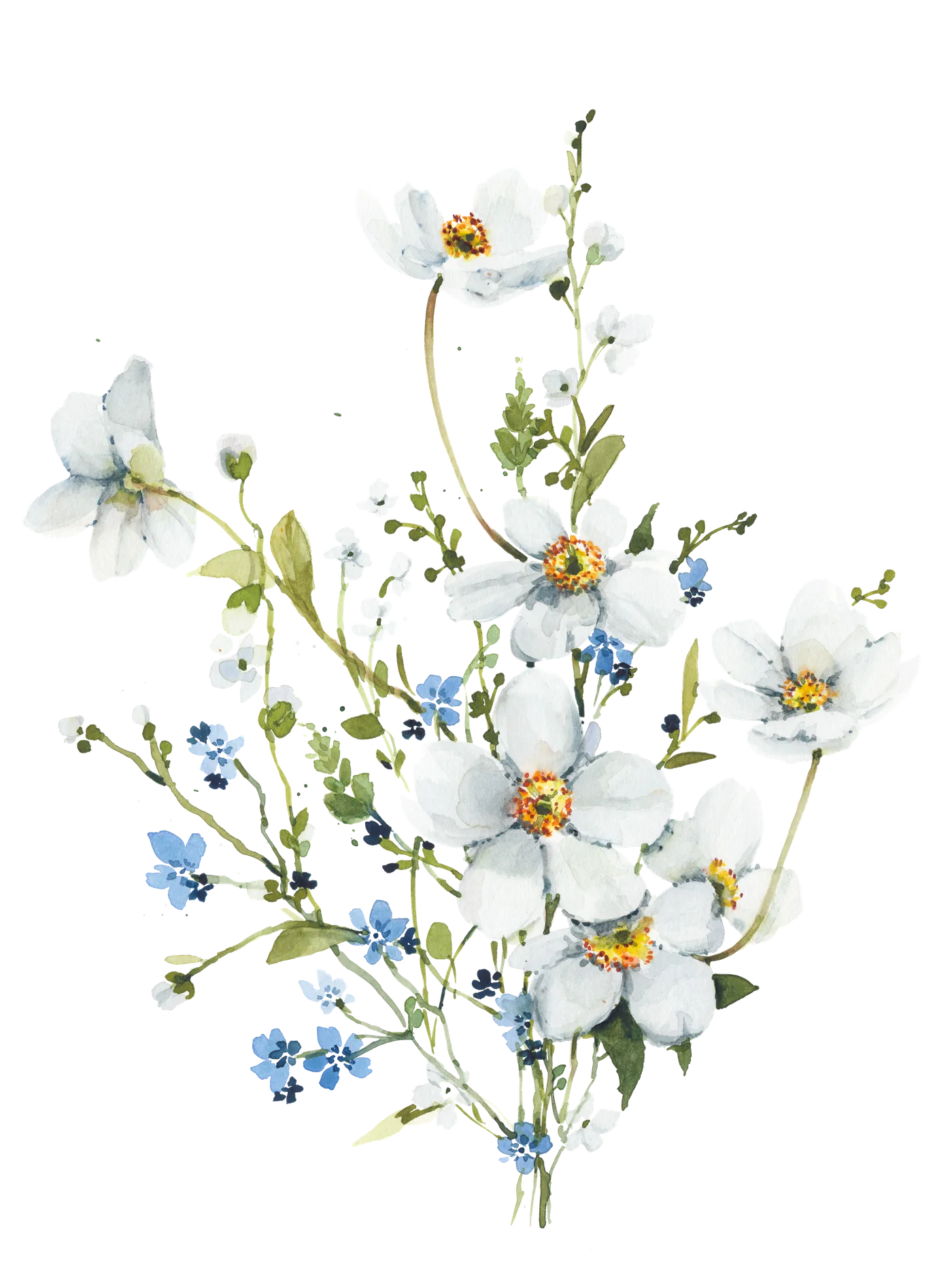 White Anemones